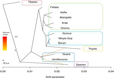 Whole-genome resequencing reveals genomic variation and dynamics in Ethiopian indigenous goats